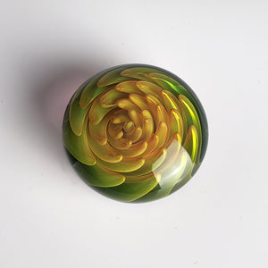 Cassia glass jewel